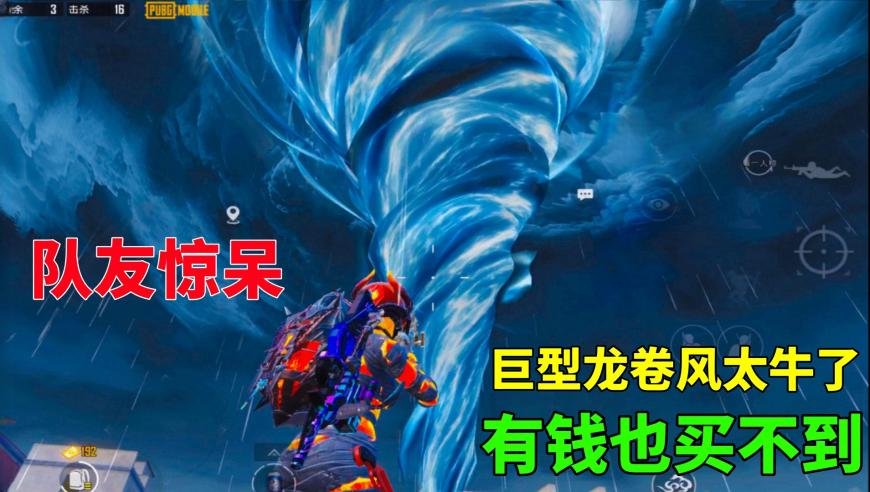 澳门六开奖号码今晚,新疆游客拍到公路上狼群逐鹿,展开解析落实_精简版V1.88