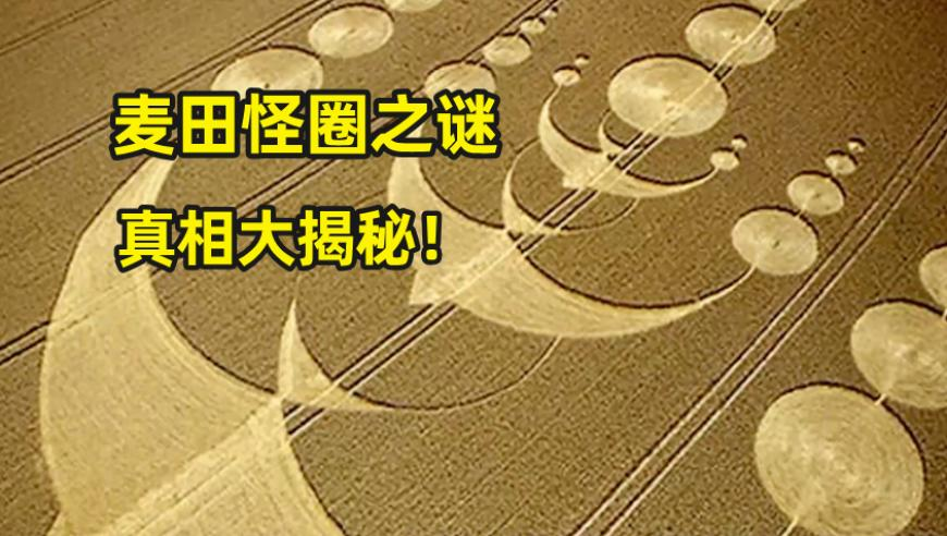 2025澳门天天开好彩大全香港,郑州全市领导干部集体学习DeepSeek,精准解释落实的人生哲理_AndroidV15.6