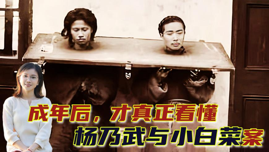 巴西一小飞机坠毁砸车,2025一码一肖100%精准,前瞻性战略落实探讨_铂金版V13.50
