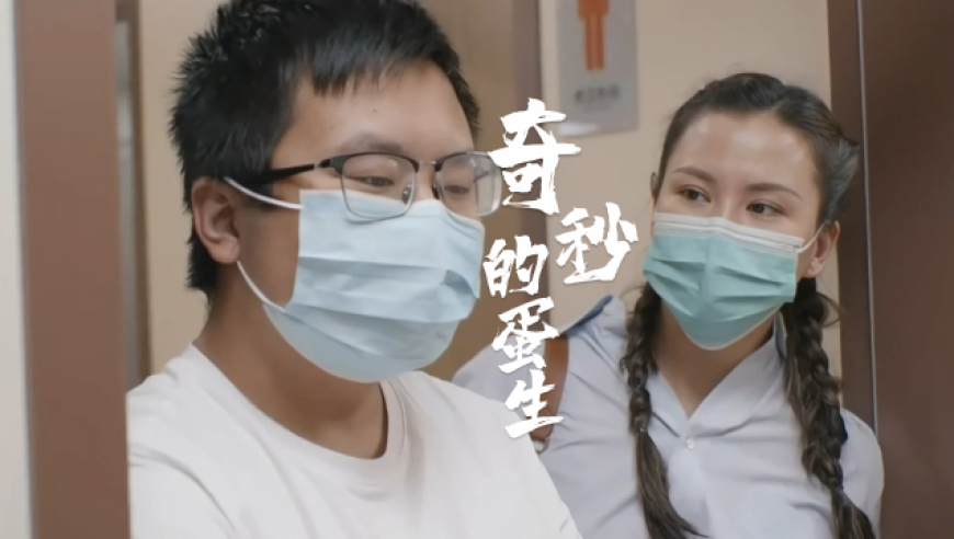 澳门开奖记录最近开奖结果查询表下载,印度指控起亚涉嫌逃税1.55亿美元,机构预测与落实方法揭秘_钻石版V10.78