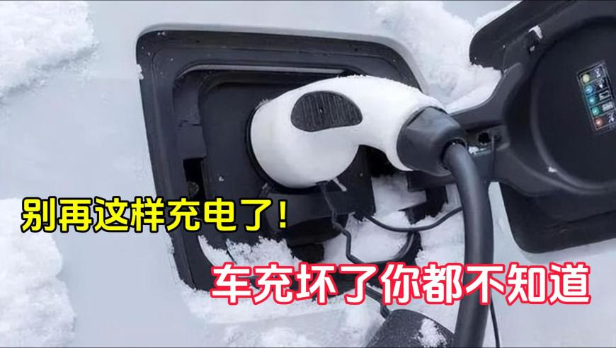 澳门新旧直播现场开奖直播,饺子：让申公豹长毛就是他的命,准确资料解释落实_专家版V13.81