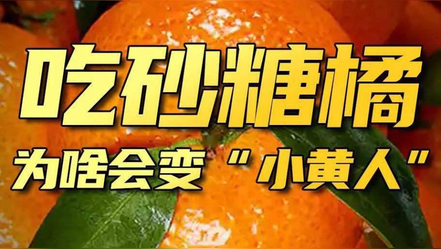 白小姐五点来料,小米SU7 Ultra首批交付现场,经济性执行方案剖析_入门版V9.35