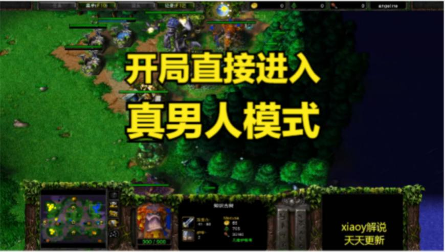 2025年红姐管家婆彩图,董卿近照曝光大变样,创新典义解读_内测版V13.38