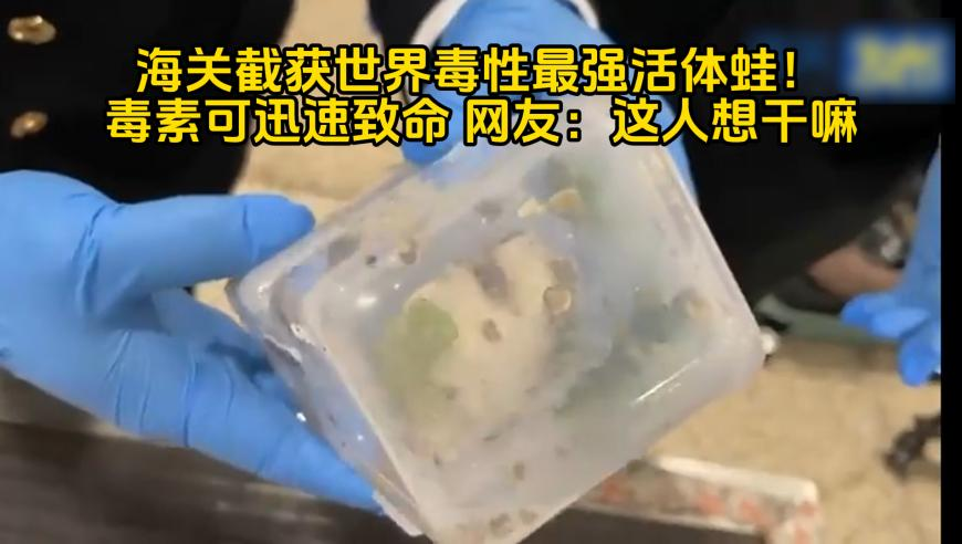 澳门三肖三码精淮00%澳门,人怎么能闯这么大的祸,广泛的解释落实方法分析_静态版V10.27