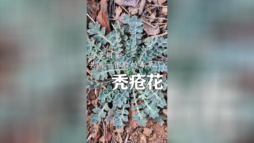 俄军称已收回800多平方公里土地,澳门天空资料网址论坛,完美答案解释落实_探索版V2.91