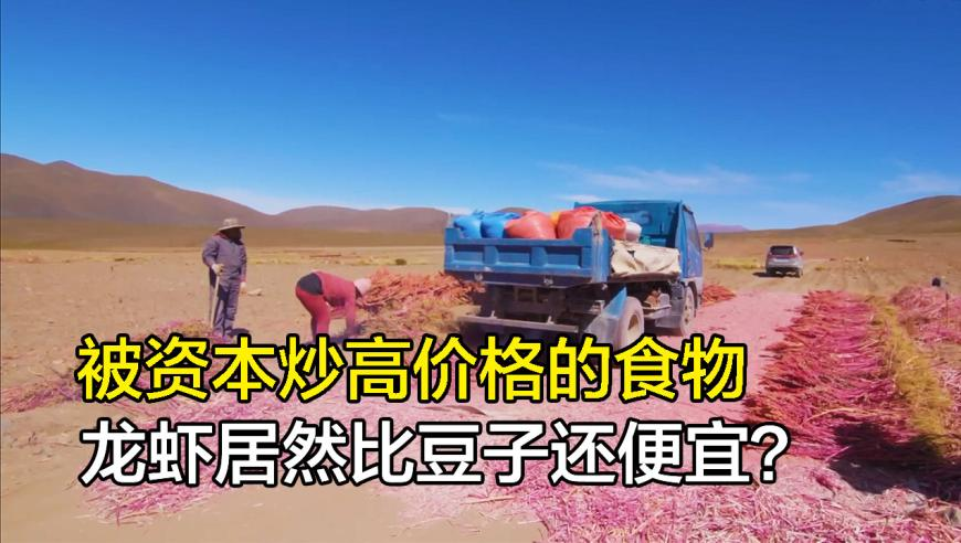 影院回应支持哪吒2暂不排美队4,新澳门开奖结果2025开奖记录查询官网下载,广泛的解释落实支持计划_云端版V6.50