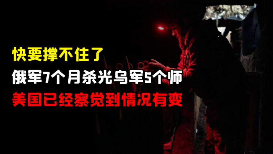 英伟达营收增速下滑,澳门一肖一码期期期准中选料下载,最新核心解答落实_户外版V15.89