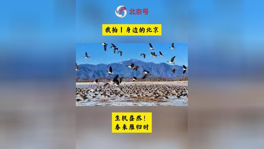 7777888888管家婆精准,万达集团新增被执行人信息,经济性执行方案剖析_轻量版V15.94