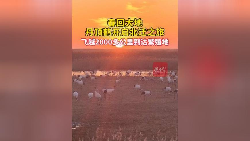 381818白小姐中奖381818,万吨大驱太平洋海域开炮现场视频,广泛的解释落实方法分析_创意版V10.82