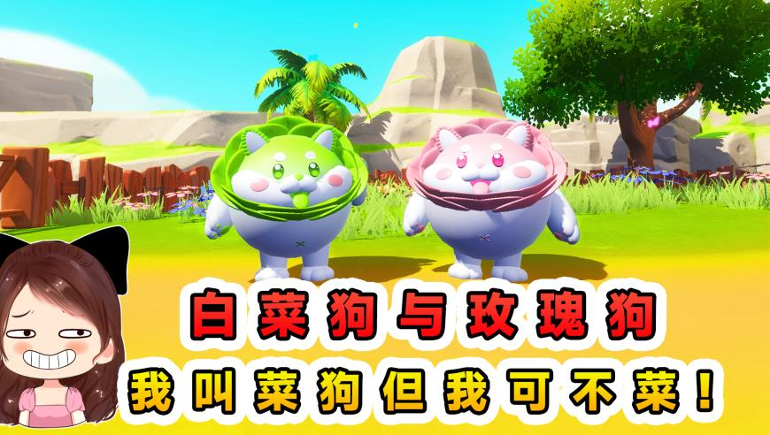 精选三肖3码公开,柯洁被判负,典故解疑_权威版V8.47
