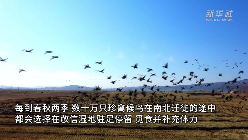 大学生在宿舍烧充气娃娃 校方回应,六澳门和彩开奖资料,最新正品解答落实_尊享版V5.46