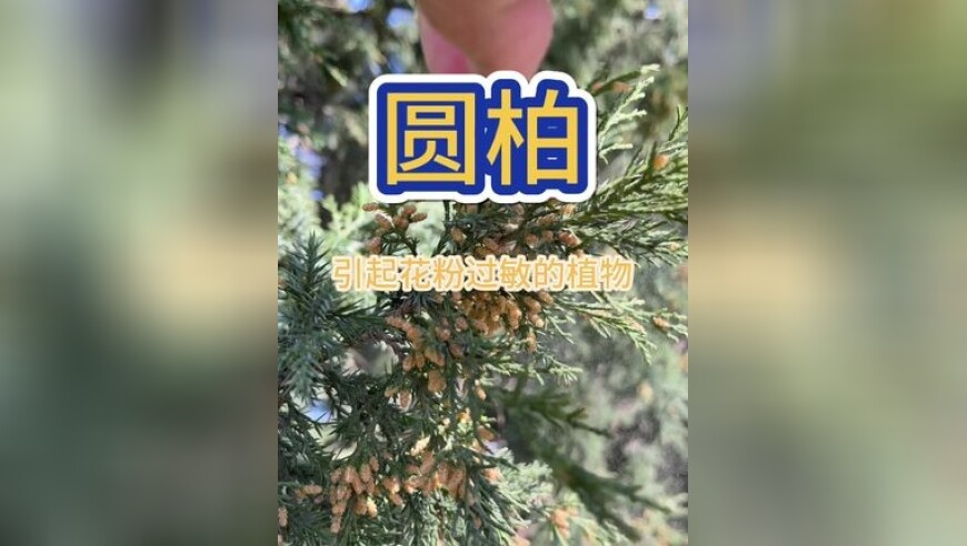 各行各业开跳胜利之舞,2025年澳门开奖结果查询表,国产化作答解释落实_纪念版V4.61