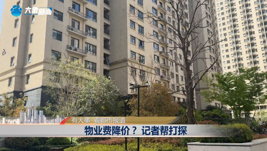 一肖一码100准管家婆,邓超约路人打篮球,完美答案解释落实_豪华版V13.54