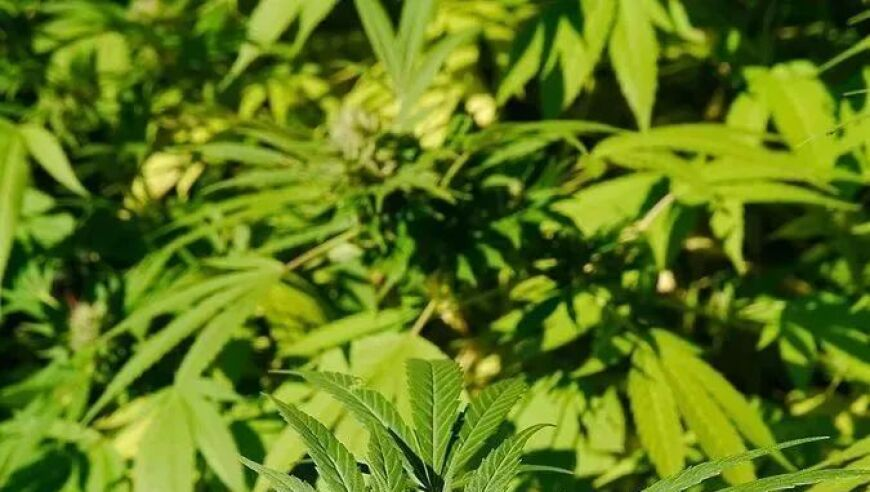 澳门管家婆四肖八码期期准,宝鸡舰与台方船只相距仅1.5海里,最新热门解答落实_开发版V10.30