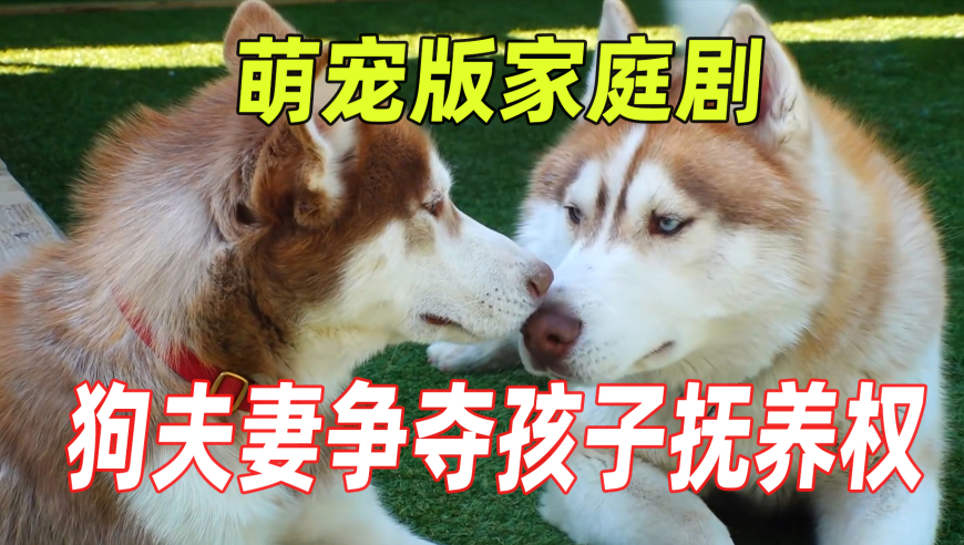 2025年新澳门管家婆开奖结果,河南矿山老板妇女节又发钱,精准解释落实的人生哲理_社交版V12.42